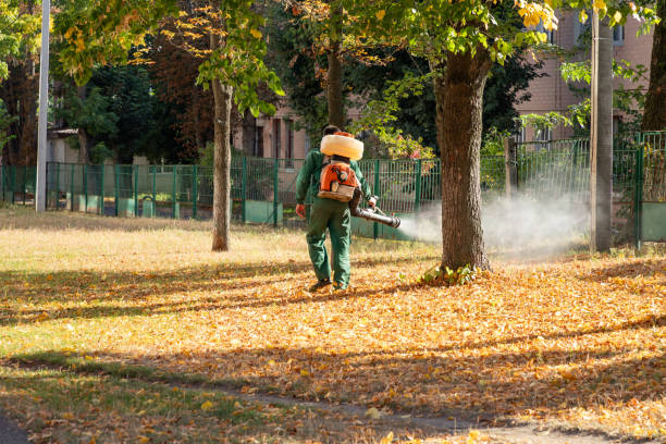 Bird Control in Redwood, OR